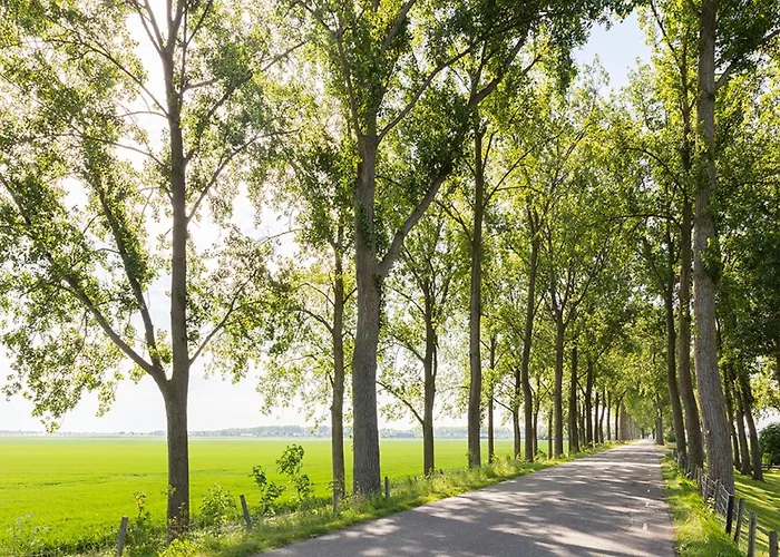 Tuinzicht By Interhome Holiday home Zuid-Beijerland