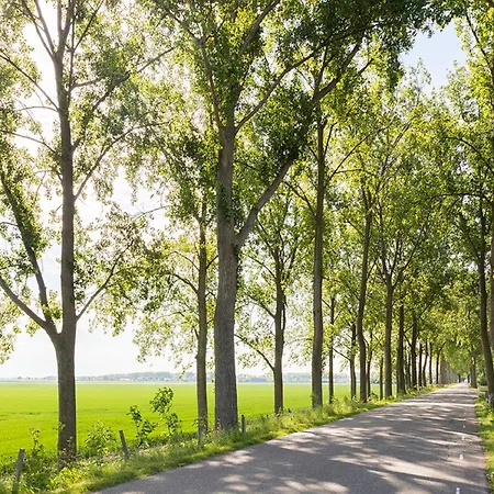 Tuinzicht Vakantiehuis Zuid-Beijerland